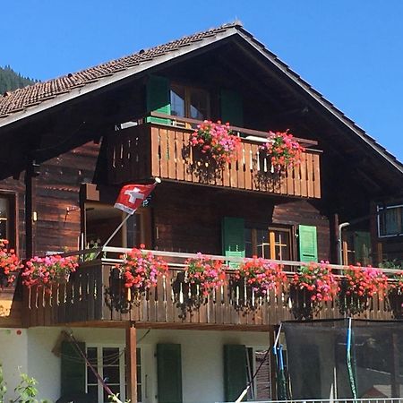 Apartment Hari By Interhome Adelboden Kültér fotó