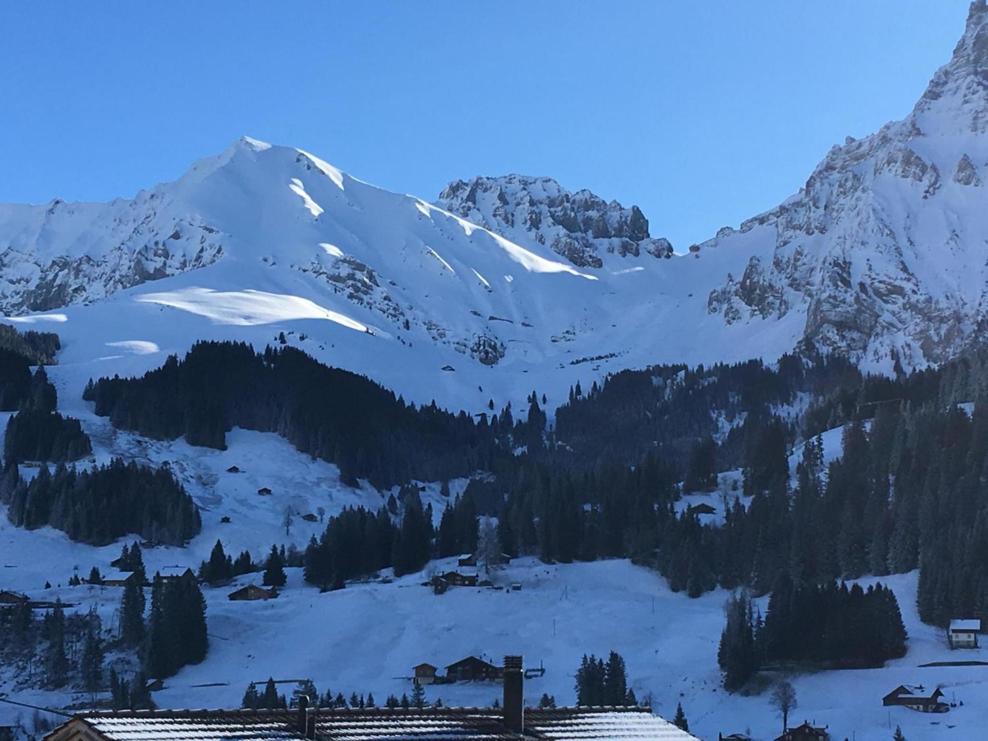 Apartment Hari By Interhome Adelboden Kültér fotó