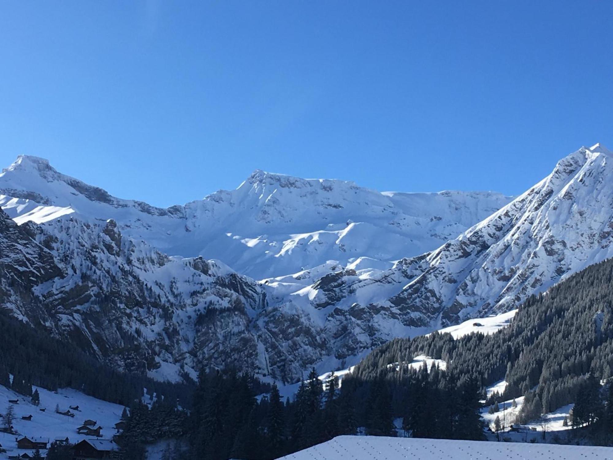 Apartment Hari By Interhome Adelboden Kültér fotó