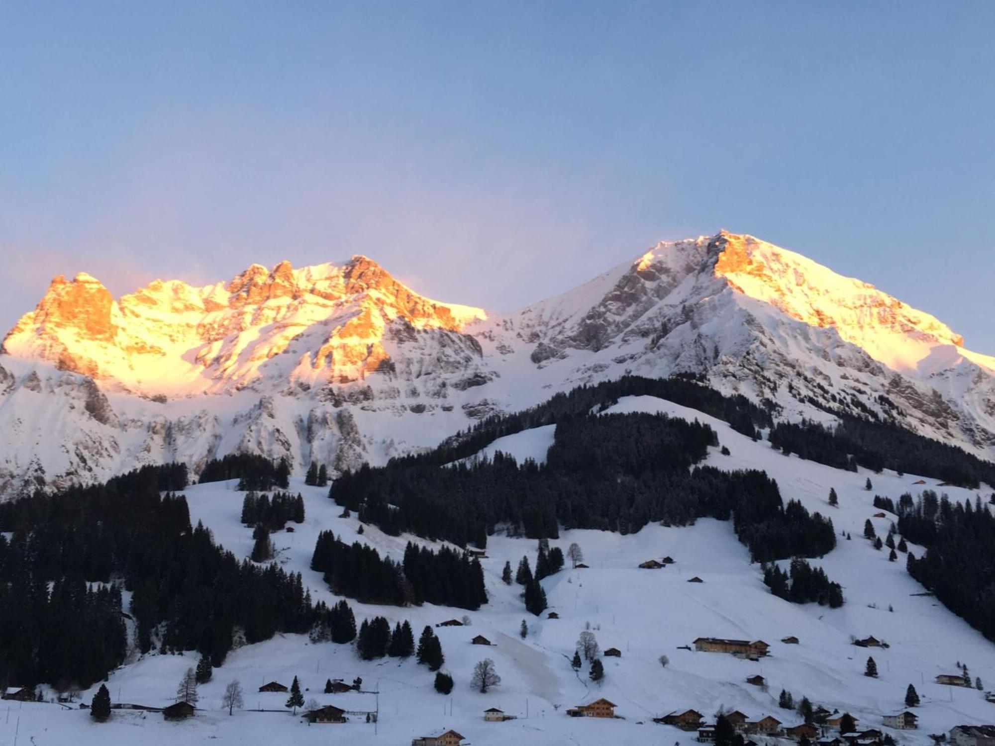 Apartment Hari By Interhome Adelboden Kültér fotó