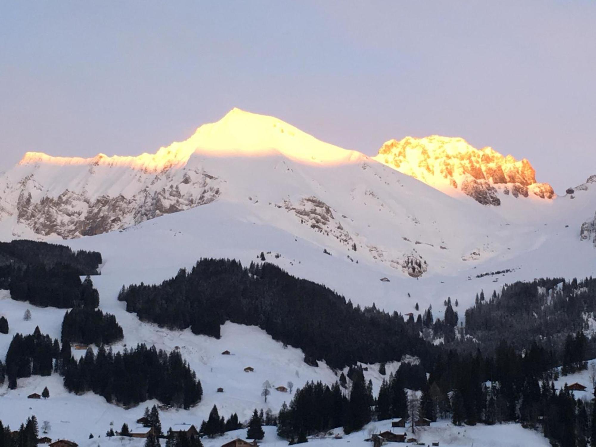 Apartment Hari By Interhome Adelboden Kültér fotó