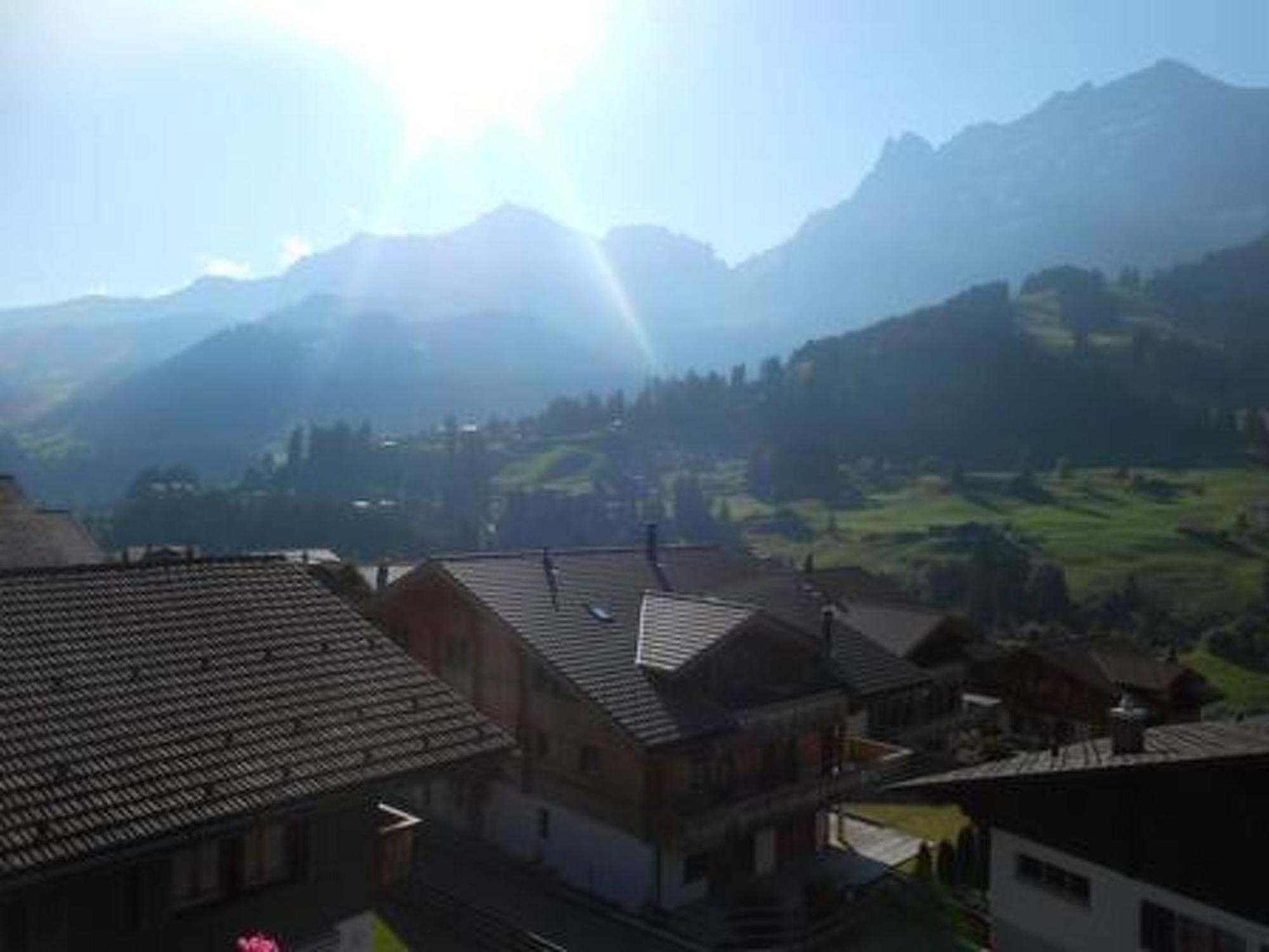 Apartment Hari By Interhome Adelboden Kültér fotó